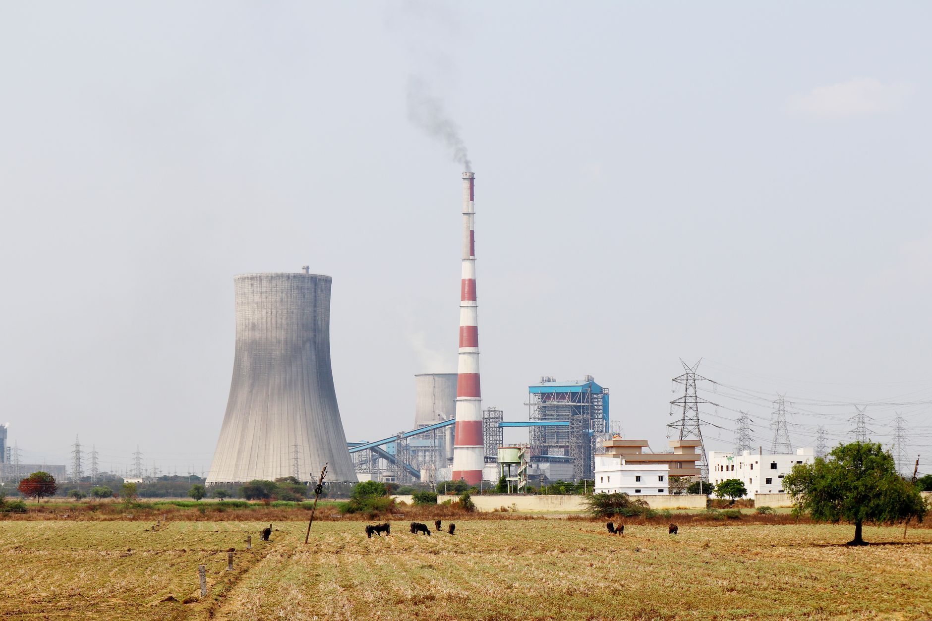 Asbury Generating Station Asbestos Exposure, Health Risks & Legal Options